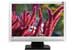 BENQ T201Wa - 20 pouces - Meilleur prix : 188.90 &euro; chez Top Achat