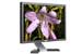 DELL E198WFP - 19 pouces - Meilleur prix : 227.05 &euro; chez Dell