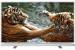 GRUNDIG 32VLE5503WG - 81 cm