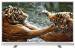 GRUNDIG 49VLE4523WF - 123 cm
