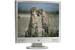 HEWLETT PACKARD vs19 - 19 pouces - Meilleur prix : 251.00 &euro; chez Boulanger