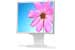 NEC MultiSync LCD195NX - 19 pouces - Meilleur prix : 230.74 &euro; chez Iziprice
