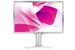 NEC P221W Argent - 22 pouces - Meilleur prix : 395.69 &euro; chez WebDistrib
