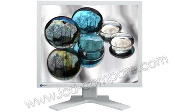 EIZO FlexScan S1911SH-GY - 19 pouces