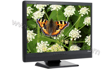 IIYAMA ProLite E2403WS-B1 - 24 pouces