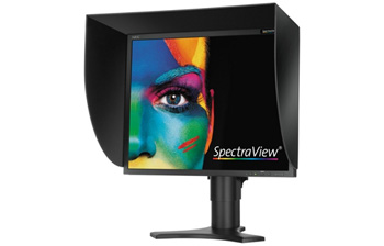 NEC SpectraView 1990p - 19 pouces