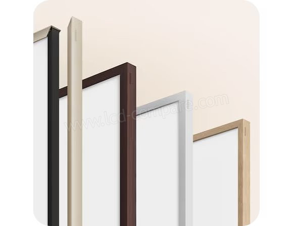 The Frames