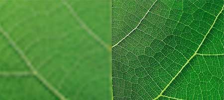 Illustration de l'am�lioration des textures d'une image via la technologie XR 4K Super Resolution de Sony