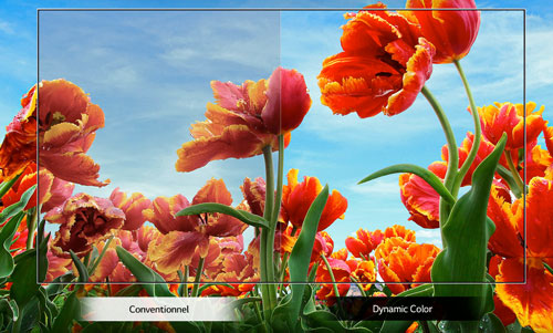 Visuel repr�sentant la diff�rence de rendu des couleurs entre une TV standard (� gauche) et une TV LG Dynamic Color (� droite)