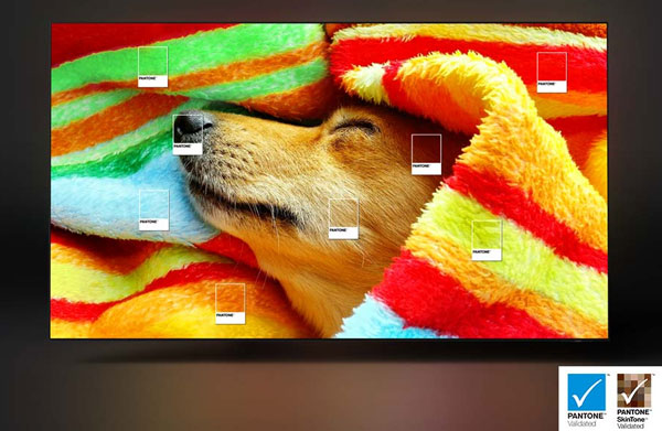 Couleurs certifi�es par Pantone