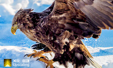 Visuel repr�sentant la fonction XR 8K Upscaling de Sony