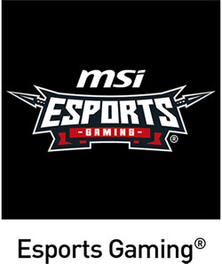 Visuel repr�sentant le logo MSI Esports Gaming