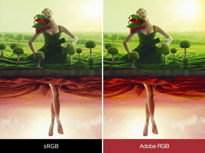 Visuel repr�sentant la fonction Dual Color de Viewsonic