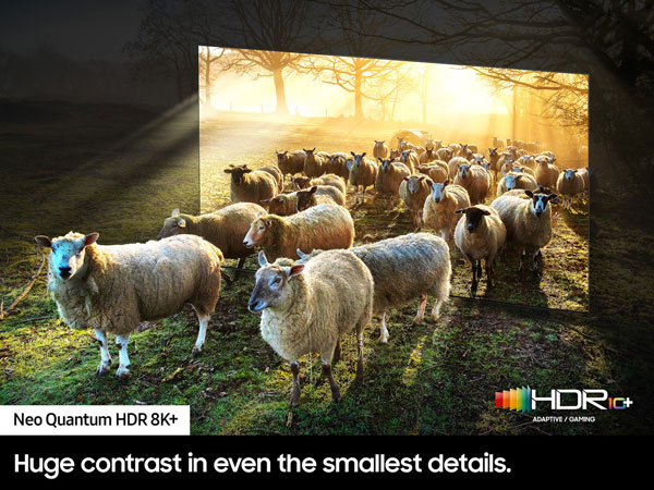 Visuel repr�sentant le r�alisme d'un contenus HDR diffus� sur une TV Samsung Neo Quantum HDR 8K+