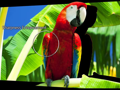 Visuel reprsentant la fonction Sharpness Enhancer