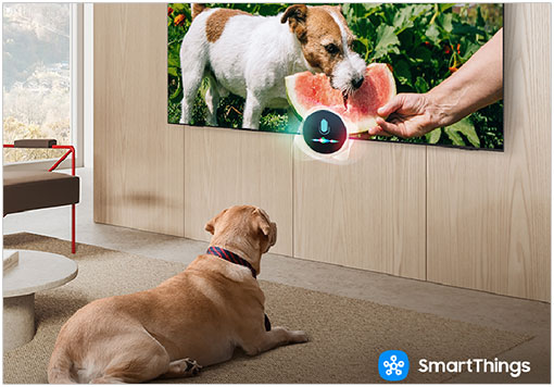 Illustration de la fonction Pet Care sur une TV Samsung Vision AI