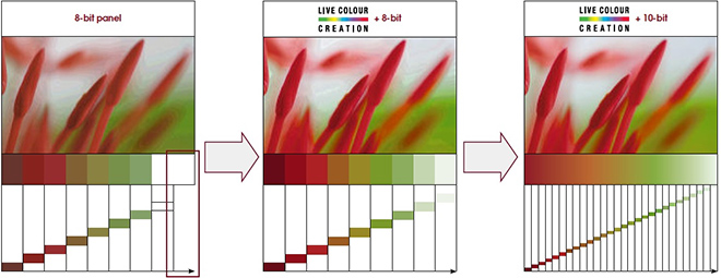D�grad�s de couleur avec la technologie Live Colour Creation