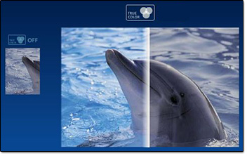 LG XD Engine : True Color