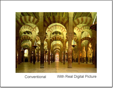 Toshiba Real Digital Picture