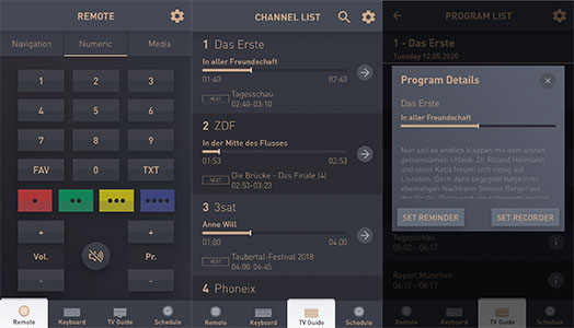 Grundig TV Remote
