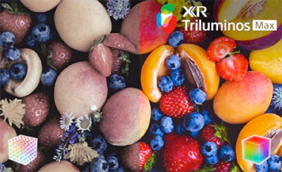 Visuel repr�sentant la technologie XR Triluminos Max de Sony