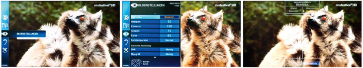 Grundig Guide Confort