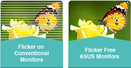 flicker free flicker free