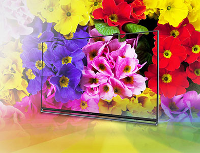 Panasonic Studio Master Colour