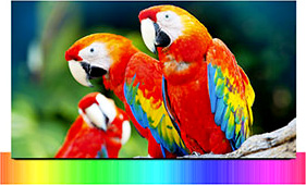 Samsung Nano Crystal Color