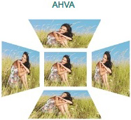 Visuel illustrant les angles de vision accessibles � partir d'une danne AH-VA