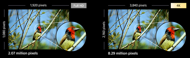 Comparaison entre une image Full HD et une image 4K