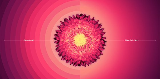 Visuel comparant une TV conventionnelle avec un modle LG Billion Rich Colors