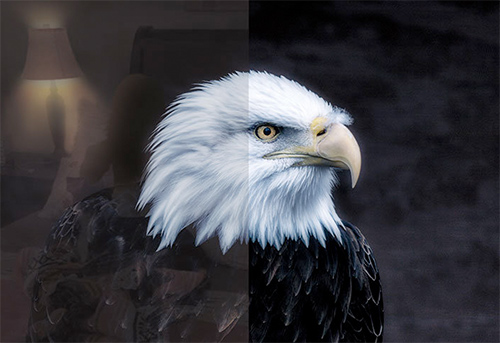 Visuel illustrant l'att�nuation des reflets sur les TV Samsung QLED avec technologie Ultra Black Elite