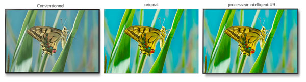 Visuel illustrant le rendu des couleurs sur une TV LG True Color Accuracy Pro avec processeur Alpha 9