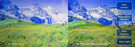 Illustration du traitement Perfect Natural Reality de Philips