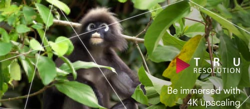 Visuel repr�sentant la technologie d'upscaling TRU Resolution de Toshiba