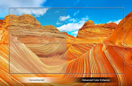 Comparaison du rendu des couleurs entre une TV standard et un modle LG avec fonction Advanced Color Enhancer