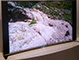 IFA 2013 : Sony d�voile une TV LED avec dalle incurv�e