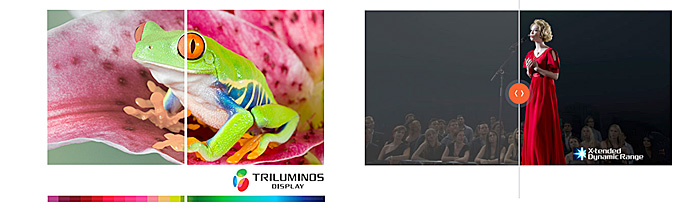 Technologie TRILUMINOS Display et X-tended Dynamic Range