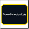 logo Picture Perfection Rate logo PPR
