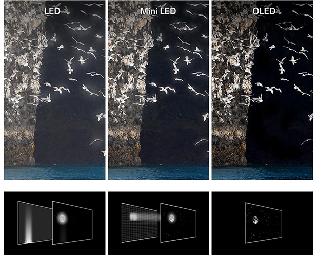TV LED vs Mini-LED vs OLED