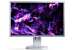 EIZO EV2216WFS-GY - 22 pouces