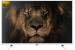 NEVIR NVR-8072-40FHD2S-SMA-B - 100 cm