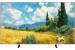TCL 85A400 Pro - 214 cm