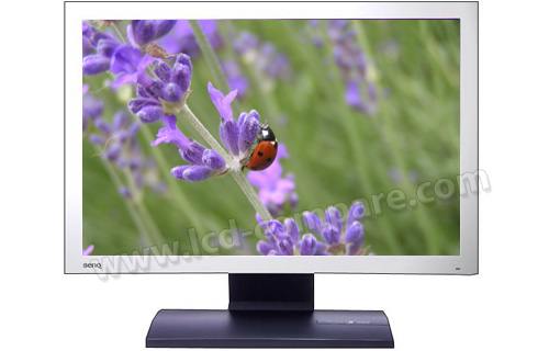BENQ FP202WA