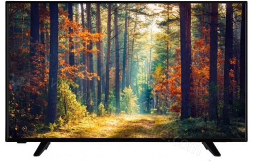 CONTINENTAL EDISON CELED43FHDSCB3