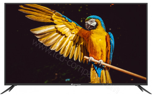 CONTINENTAL EDISON CELED50S22B6