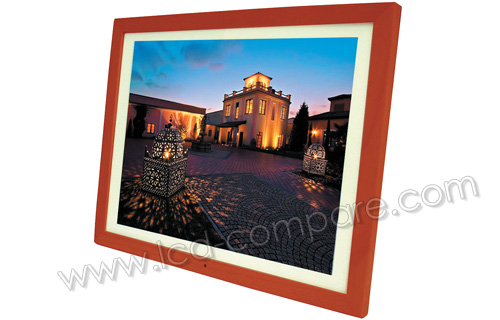 COOLDEVICE DigiLife cam&eacute;l&eacute;on C&egrave;dre