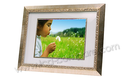 DIGITAL SPECTRUM MV-1500