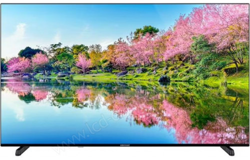 EDENWOOD ED65A09UHD-VE